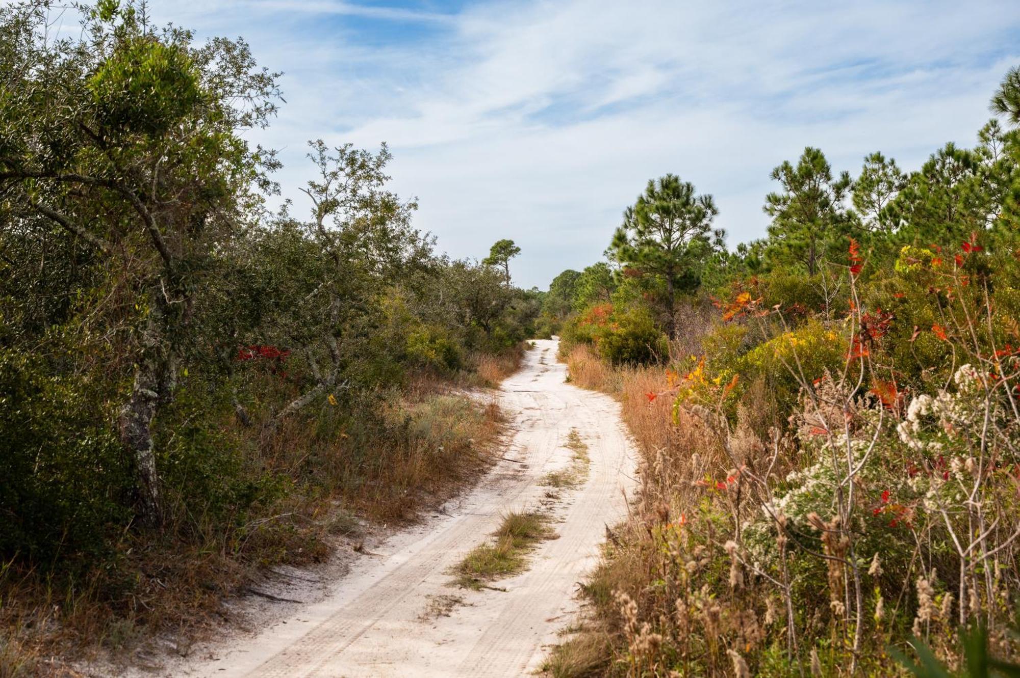 Cottage Beach House Steps From Beach 3 Bedroom 2 Bath Gulf Shores Eksteriør bilde